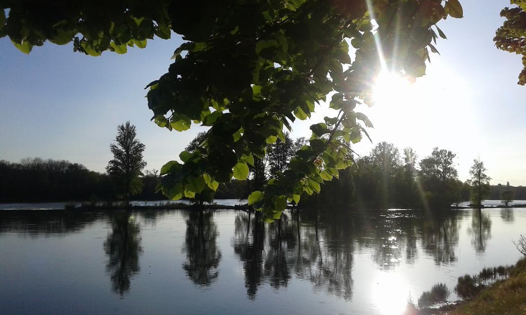 La Chaumiere Bed & Breakfast Ousson-sur-Loire Ngoại thất bức ảnh