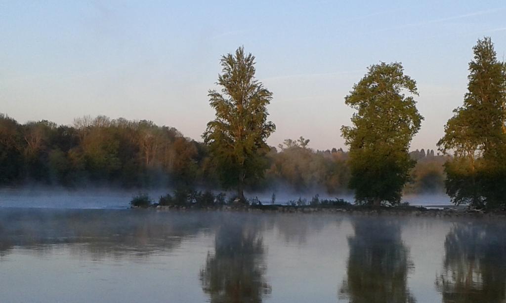La Chaumiere Bed & Breakfast Ousson-sur-Loire Ngoại thất bức ảnh