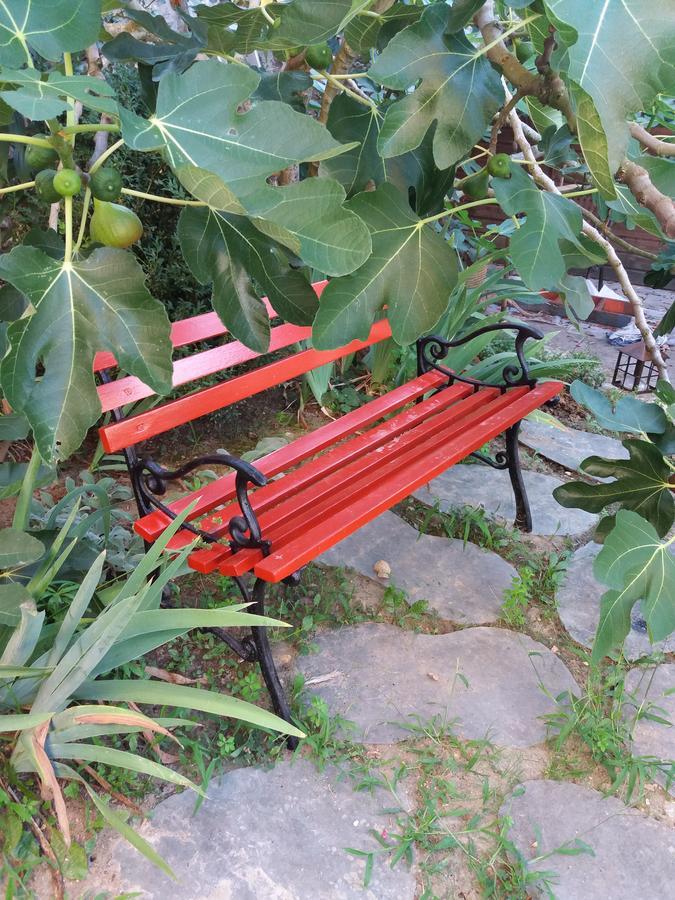 La Chaumiere Bed & Breakfast Ousson-sur-Loire Ngoại thất bức ảnh